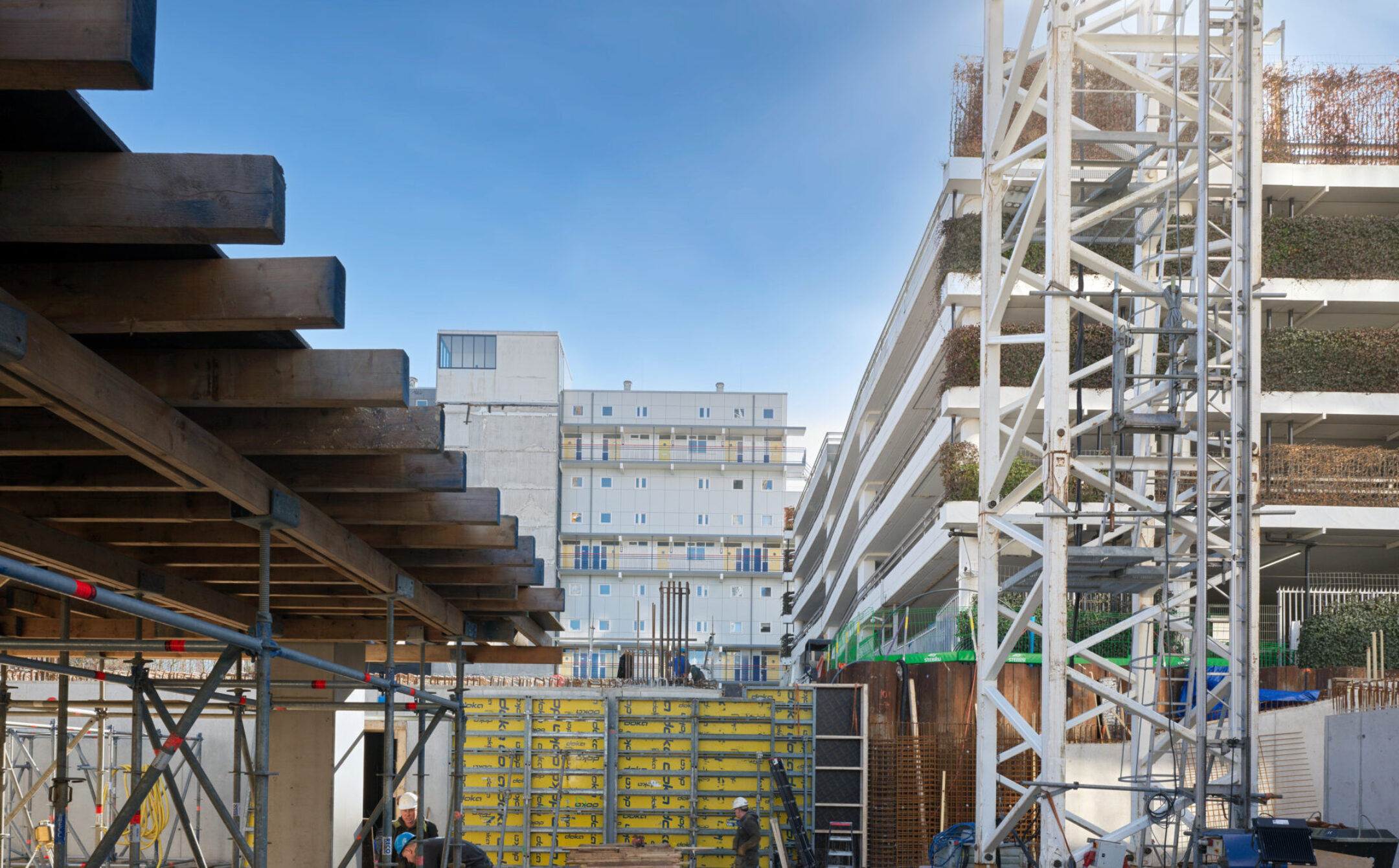 Foto - Studio Hoge Heren 